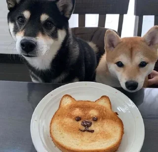 😁 emoji Cheems Doge @Evl_Emperor Telegram sticker 7 of 28