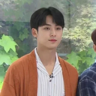🔗 emoji Kim mingyu | ⛩ ❬ @gubukseni ❭ Telegram sticker 18 of 41