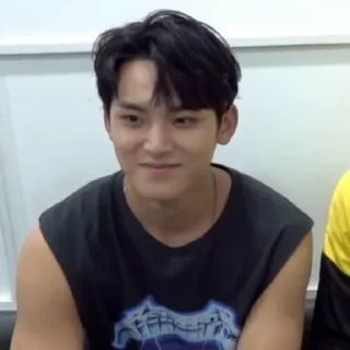 🔗 emoji Kim mingyu | ⛩ ❬ @gubukseni ❭ Telegram sticker 16 of 41