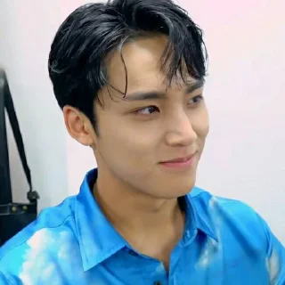 🎻 emoji ﹟kim mingyu ⋆ @randomtikell Telegram sticker 9 of 60