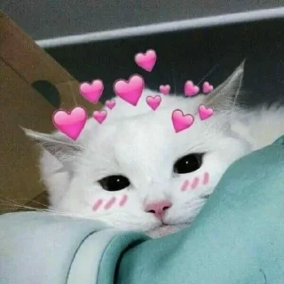 💗 emoji My heart - @kyraarv Telegram sticker 9 of 32