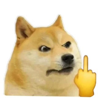 Sticker from @Boomer_chamta_vimdhayak 's sticker pack