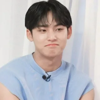 🎲 emoji 🎰༄. ꒰Kim Mingyu꒱ @sejarahujan Telegram sticker 14 of 45