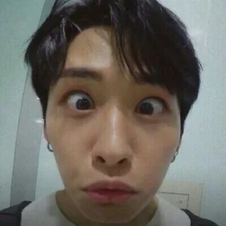🐱 emoji MinHo Being MinHo Telegram sticker 15 of 67