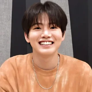 Sticker from Junkyu aib