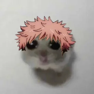 🐹 emoji Tokyo Hamsters - @sukior Telegram sticker 22 of 59