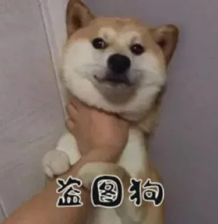 🤭 emoji 天外来物 Telegram sticker 6 of 70