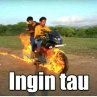 🤔 emoji Stiker bapak aku Telegram sticker 9 of 80