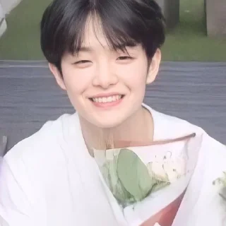 😊 emoji P. Jihoon Telegram sticker 14 of 50