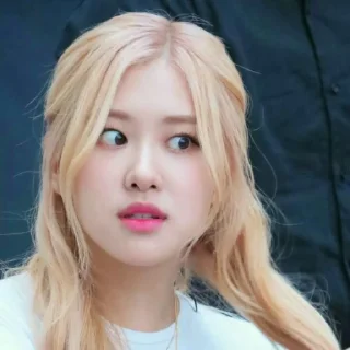 🎸 emoji rosé by @stickernct Telegram sticker 24 of 24