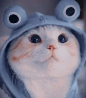 ⭐ emoji KHUSHI STORE @KHUSHISTORE09 Telegram sticker 19 of 119