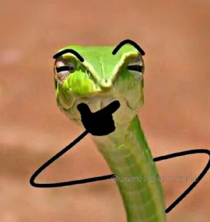 🤔 emoji SNAKES @animestickerchannel Telegram sticker 12 of 60