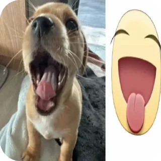 🐶 emoji маруся Telegram sticker 10 of 55