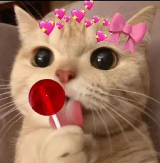 😱 emoji ♾️'s sticker kang pack Telegram sticker 6 of 8