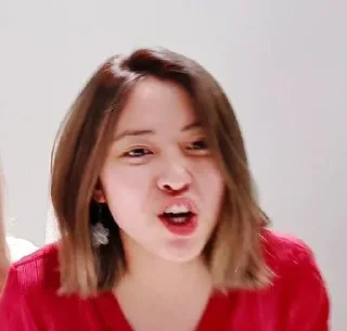 🐣 emoji ✰𝘀𝗵𝗶𝗻 𝗿𝘆𝘂𝗷𝗶𝗻 𝗺𝗲𝗺𝗲༄ @tikelryujin Telegram sticker 16 of 20
