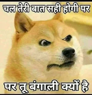 🫣 emoji l Cheems l @StIcKeRs_X_SoHaM l Dog l Telegram sticker 22 of 100