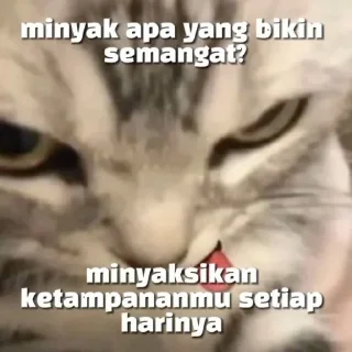 by bu rajesh sticker 4