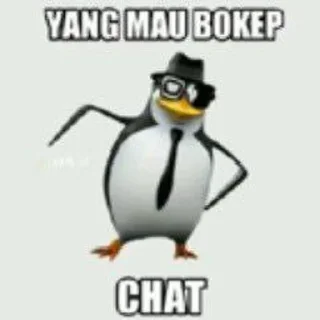 Sticker from Pinguin Pekob @fforceji
