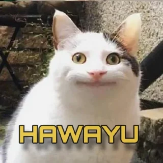 🙂 emoji Pikachu Telegram sticker 11 of 13
