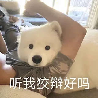 😗 emoji 萨摩耶(Samoyed) & more by @momo_li ⭐️ Telegram sticker 21 of 120