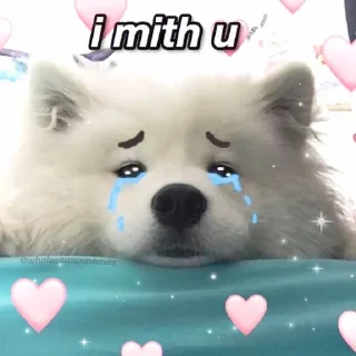 🐶 emoji @incheonkid as samoyed Telegram sticker 15 of 15