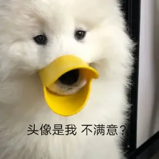 😘 emoji 萨摩耶(Samoyed) & more by @momo_li ⭐️ Telegram sticker 20 of 120