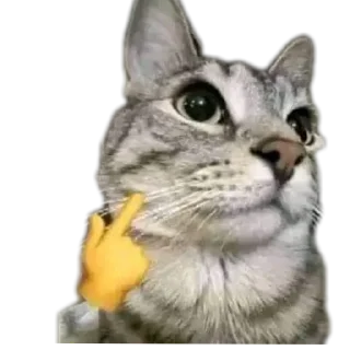 🐱 emoji upi pacar boboiboy Telegram sticker 21 of 27