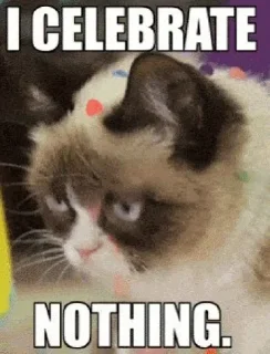 🥳 meow meow, sticker Telegram 9 sur 17