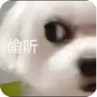 🫥 emoji 👻aame👻 Telegram sticker 18 of 86