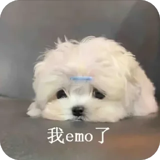 🫥 emoji 👻aame👻 Telegram sticker 20 of 86