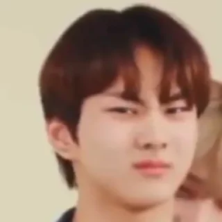 🐈 emoji jungwon julid @GardenYyangO4 Telegram sticker 7 of 65