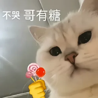 👍 emoji 更多表情@wlop8 Telegram sticker 13 of 60