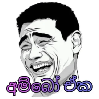 😂 emoji ꧁⃝»͓̽➳̶ ✥⃟ 🇱🇰 𝖒ꭺｓꮖꭼꮢ ꮙꮆ (මදූ)🇱🇰彡★•—͟͞𖣘ᴬᴷ°᭄ Telegram sticker 5 of 46