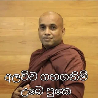 🌸 emoji අලව්ව Telegram sticker 18 of 26