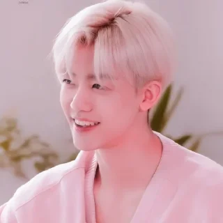 Sticker from ⌗ jaemin by @CLARISSAXIVRAN ☆