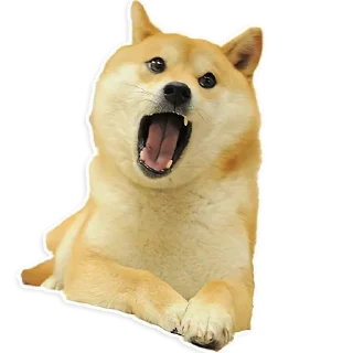 💮 emoji Doggy don Telegram sticker 11 of 18