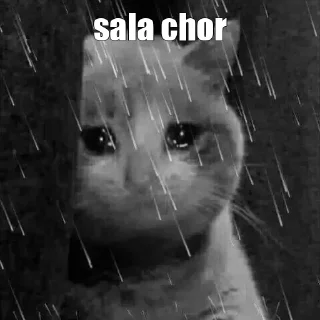 🤒 emoji [ PAIN IN RAIN ] Telegram sticker 20 of 64