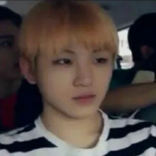 Sticker from woozi meme @smcln