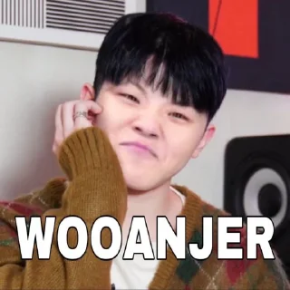 😭 emoji Seventeen @stickerkipop Telegram sticker 9 of 30