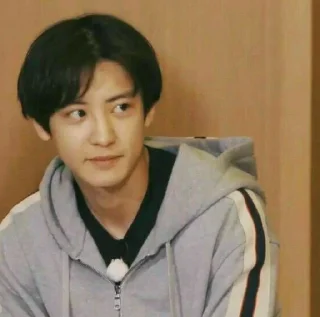 💿 emoji Chanyeol Park @editorsagaz Telegram sticker 12 of 30
