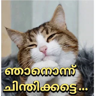 🤨 emoji @psybeast Vol.32 Telegram sticker 22 of 120