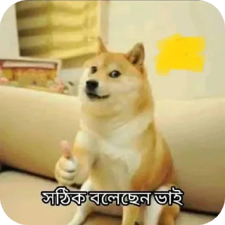 🐶 emoji @CheaterZahid cat&doge pack Telegram sticker 8 of 55