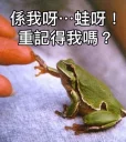🤝 emoji 淫🐸專用 Telegram sticker 11 of 120