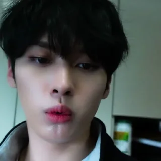 🐰 emoji 𝐋ee know @skz_help Telegram sticker 12 of 15