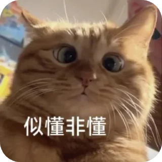 🐱 emoji sss Telegram sticker 6 of 27