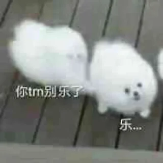 Sticker from 西瓜的表情包