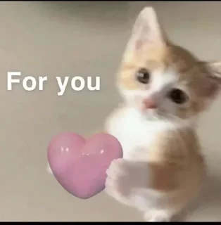 🌟 emoji punya salwaaa Telegram sticker 5 of 94