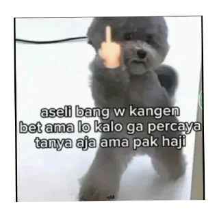 🖕 emoji aww Telegram sticker 19 of 50