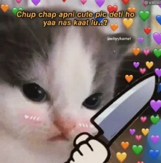 🔪 emoji Billi kre meow meow @dont_dm Telegram sticker 11 of 63