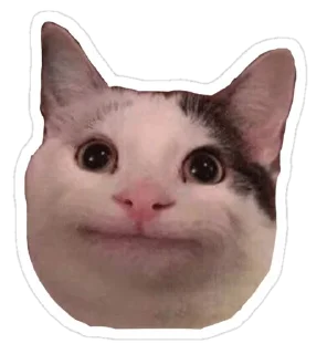 😄 emoji 😎😈BELUGA😈😎 Telegram sticker 1 of 8